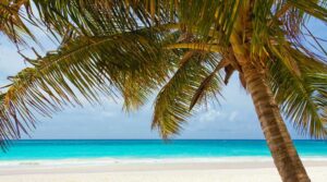 beach