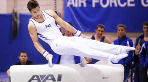pommel horse