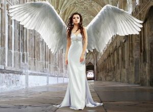 celebrating your love wedding planning tips and tricks