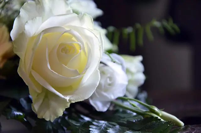 Solid Advice So You Can Have A Beautiful Wedding Solid Advice So You Can Have A Beautiful Wedding - wedding
