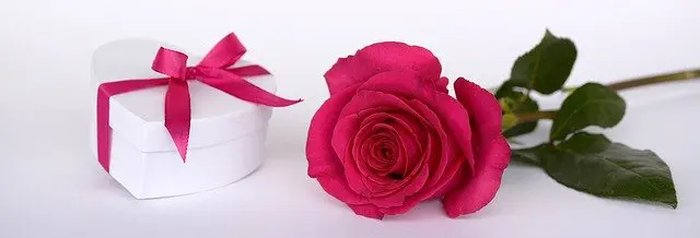 The Best Wedding Tips For The Best Day Of Your Life The Best Wedding Tips For The Best Day Of Your Life - wedding