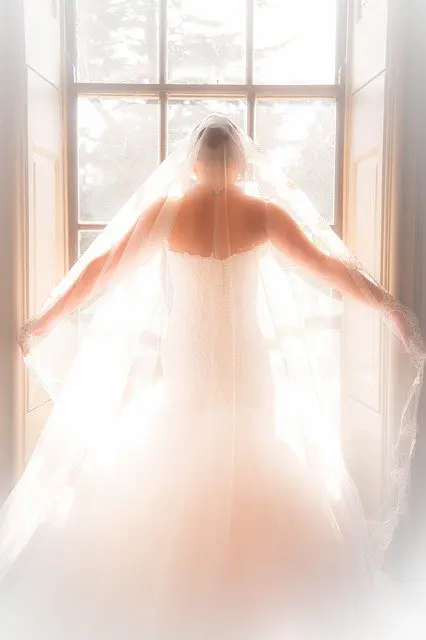 Make Your Wedding Perfect With Our Tips Make Your Wedding Perfect With Our Tips - wedding