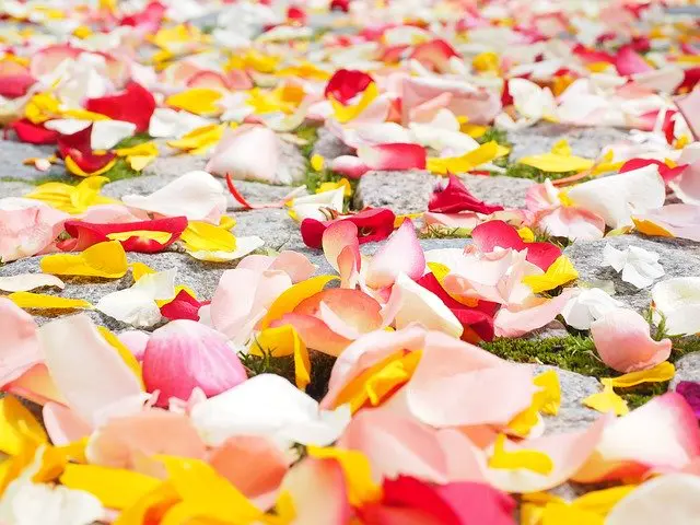 Solida Avice For A Great Wedding Ceremony Solida Avice For A Great Wedding Ceremony - wedding