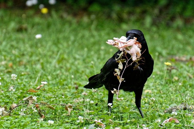 Top Tips About Photography That Anyone Can Follow Top Tips About Photography That Anyone Can Follow - photography