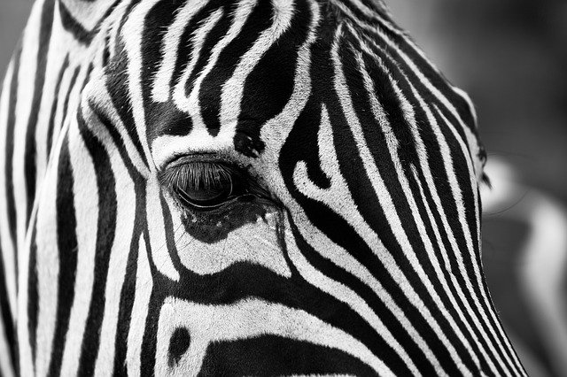 right is where you can locate the best tips about photography 1 - - photography right is where you can locate the best tips about photography 1 - - photography