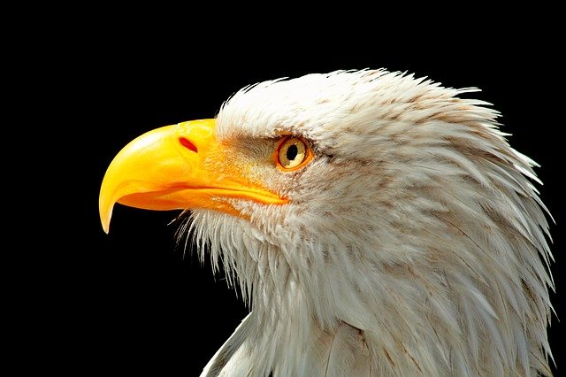 right is where you can locate the best tips about photography 2 - - photography right is where you can locate the best tips about photography 2 - - photography