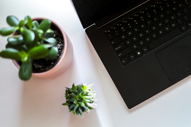 Supplement Your Income With A Home Business Supplement Your Income With A Home Business - work-from-home