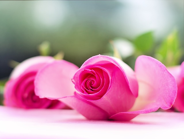 Useful Information To Help You Create The Ideal Wedding Useful Information To Help You Create The Ideal Wedding - wedding