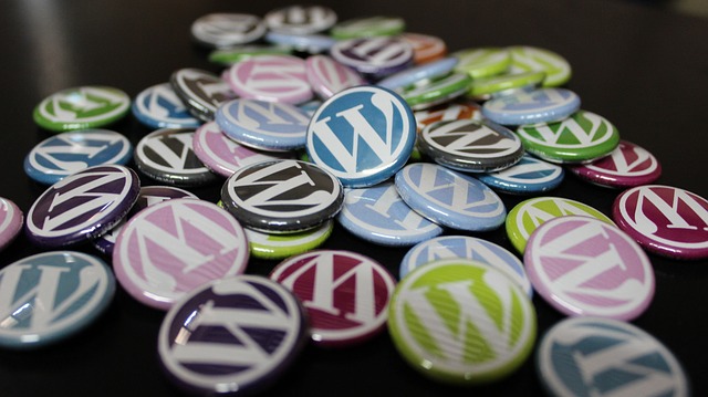 use wordpress to start blogging right away - Use WordPress To Start Blogging Right Away - software