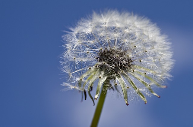 Photography Are Easy To Follow When You Have Special Tips Like These Photography Are Easy To Follow When You Have Special Tips Like These - photography
