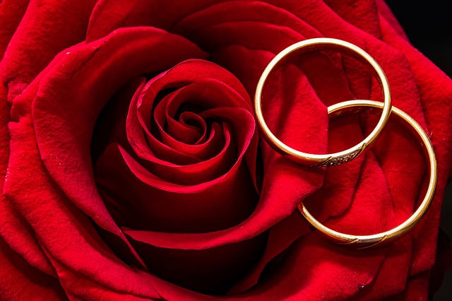 Advice For People That Are New To Weddings Advice For People That Are New To Weddings - wedding