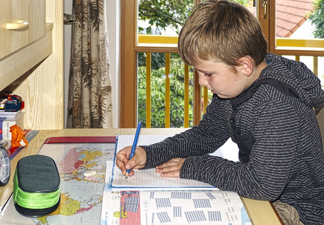 Tips To Help With Your Children's Homeschooling - family