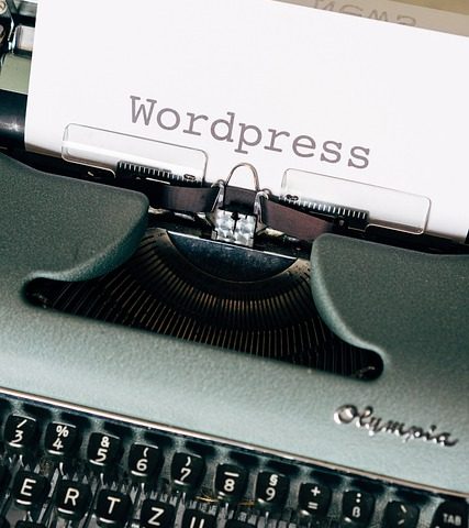 top tips and advice for working with wordpress 427x480 - Top Tips And Advice For Working With Wordpress - software
