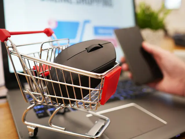 The Dos And The Dont's When Shopping Online The Dos And The Dont's When Shopping Online - family