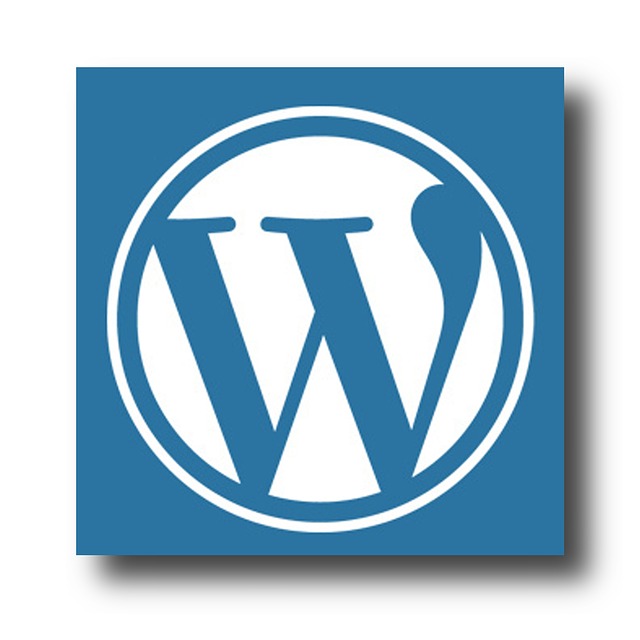 In Relation To Wordpress, We Supply The Best Tips - software