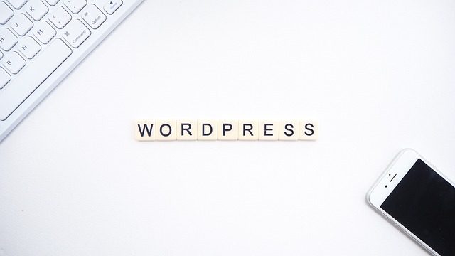 Great Tips And Tricks For Blogging With WordPress - software