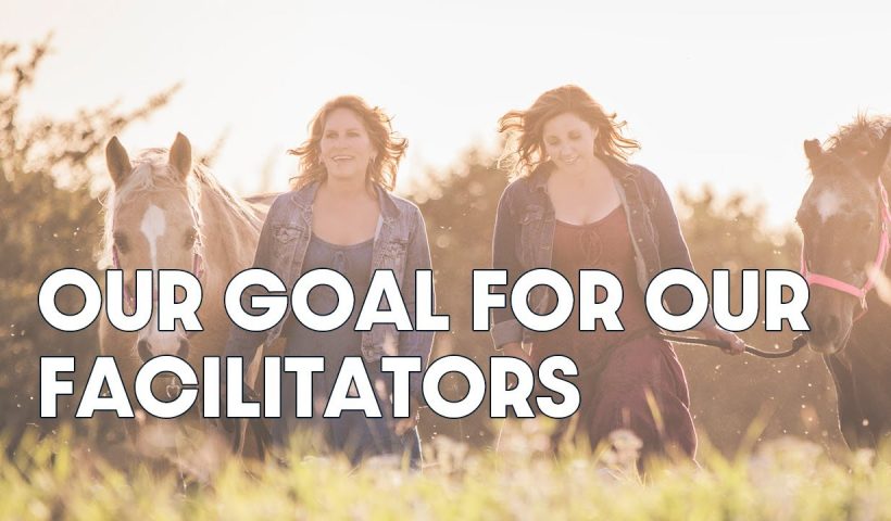 International Horse Certification Course with Business Training - training, business