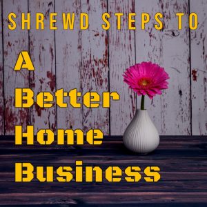 Shrewd Steps To Better Home Business
