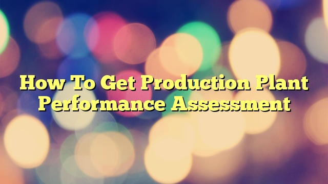 How To Get Production Plant Performance Assessment