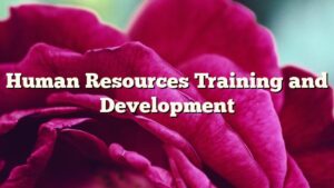 Human Resources Training and Development