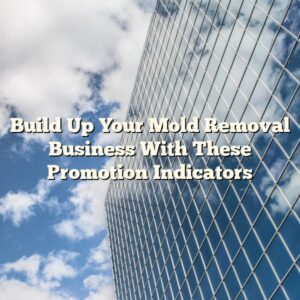 Build Up Your Mold Removal Business With These Promotion Indicators
