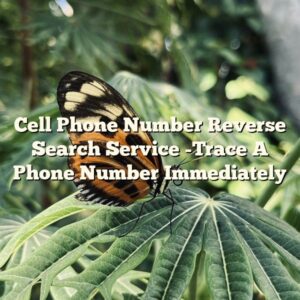 Cell Phone Number Reverse Search Service -Trace A Phone Number Immediately
