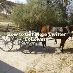 How to Get More Twitter Followers