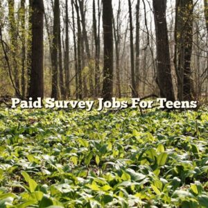 Paid Survey Jobs For Teens