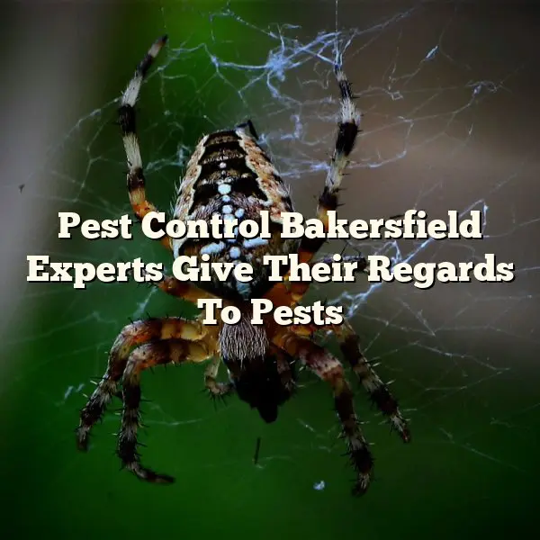 Pest Control Bakersfield Experts Give Their Regards To Pests