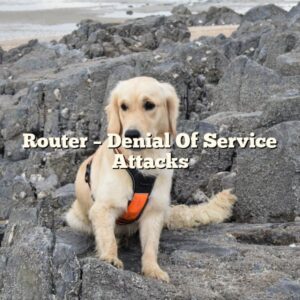 Router – Denial Of Service Attacks