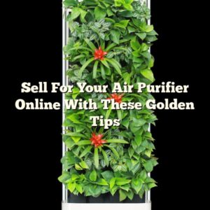 Sell For Your Air Purifier Online With These Golden Tips