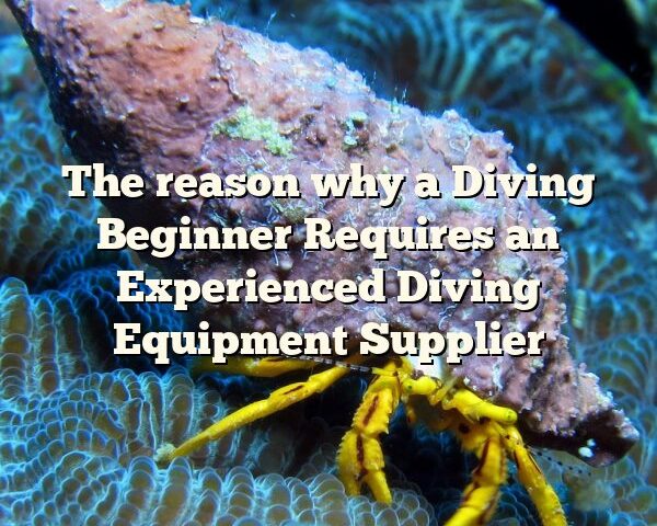 The reason why a Diving Beginner Requires an Experienced Diving Equipment Supplier