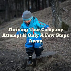 Thriving Tour Company Attempt Is Only A Few Steps Away