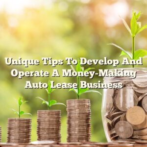 Unique Tips To Develop And Operate A Money-Making Auto Lease Business