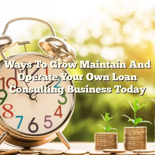 Ways To Grow Maintain And Operate Your Own Loan Consulting Business Today