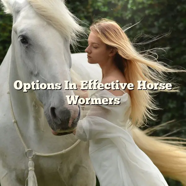 Options In Effective Horse Wormers