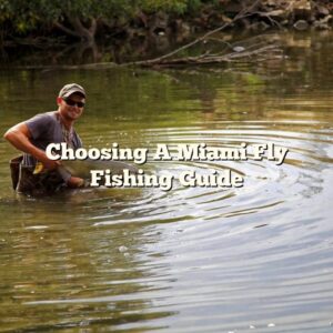 Choosing A Miami Fly Fishing Guide