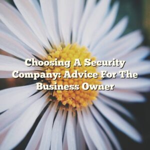 Choosing A Security Company: Advice For The Business Owner