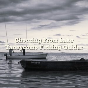 Choosing From Lake Taneycomo Fishing Guides