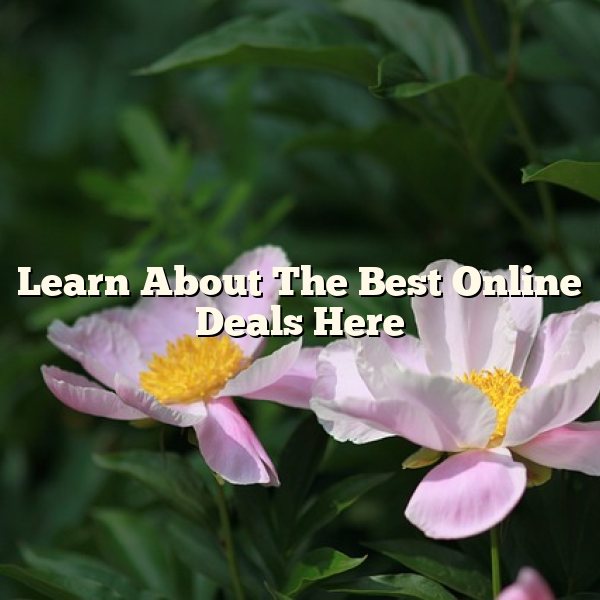 Learn About The Best Online Deals Here