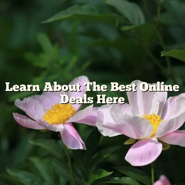 Learn About The Best Online Deals Here