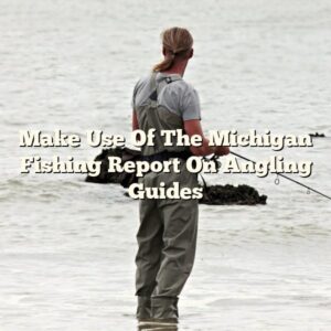 Make Use Of The Michigan Fishing Report On Angling Guides