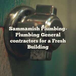 Sammamish Plumbing- Plumbing General contractors for a Fresh Building