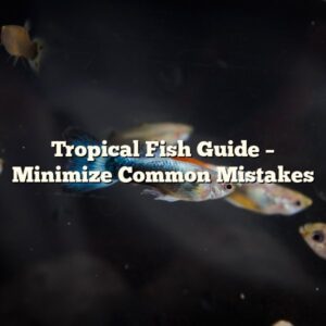 Tropical Fish Guide – Minimize Common Mistakes