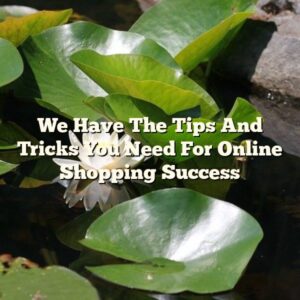 We Have The Tips And Tricks You Need For Online Shopping Success