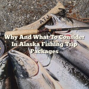 Why And What To Consider In Alaska Fishing Trip Packages