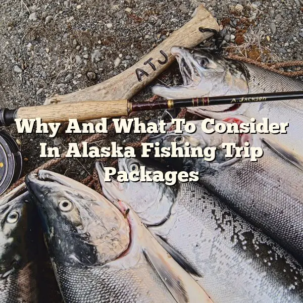 Why And What To Consider In Alaska Fishing Trip Packages