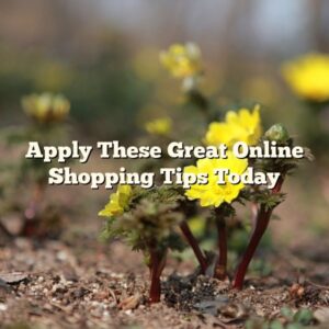 Apply These Great Online Shopping Tips Today