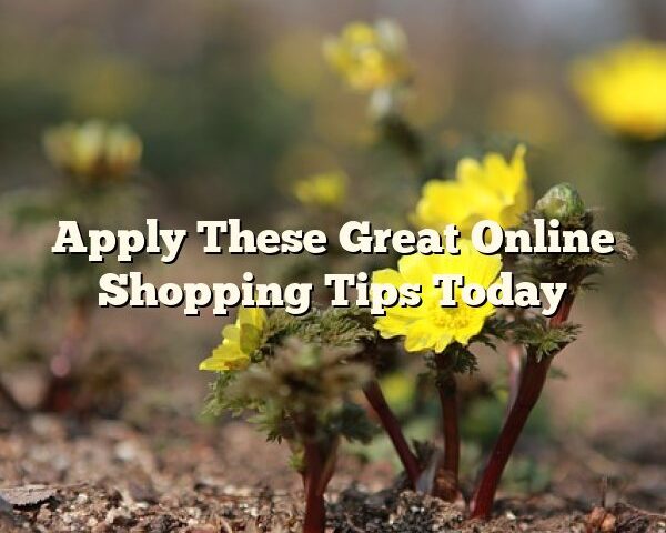Apply These Great Online Shopping Tips Today