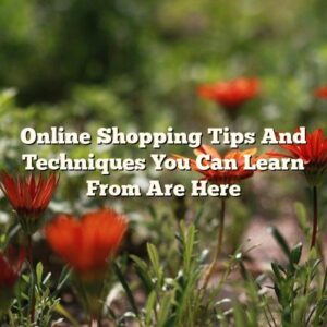 Online Shopping Tips And Techniques You Can Learn From Are Here